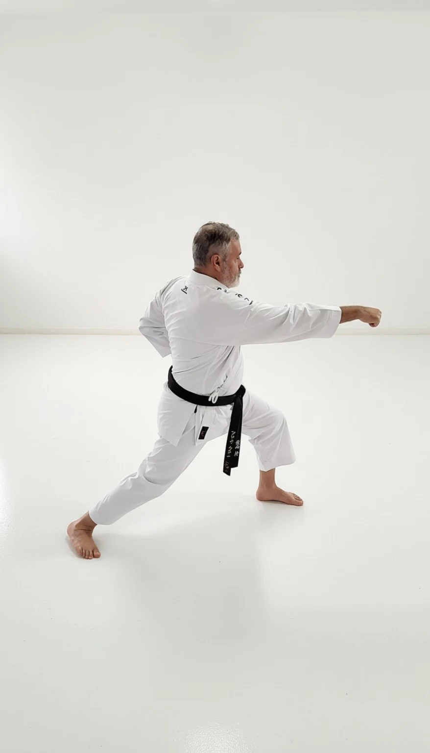 Tulio Karam demonstrando uma postura de karatê Shotokan — registro 3