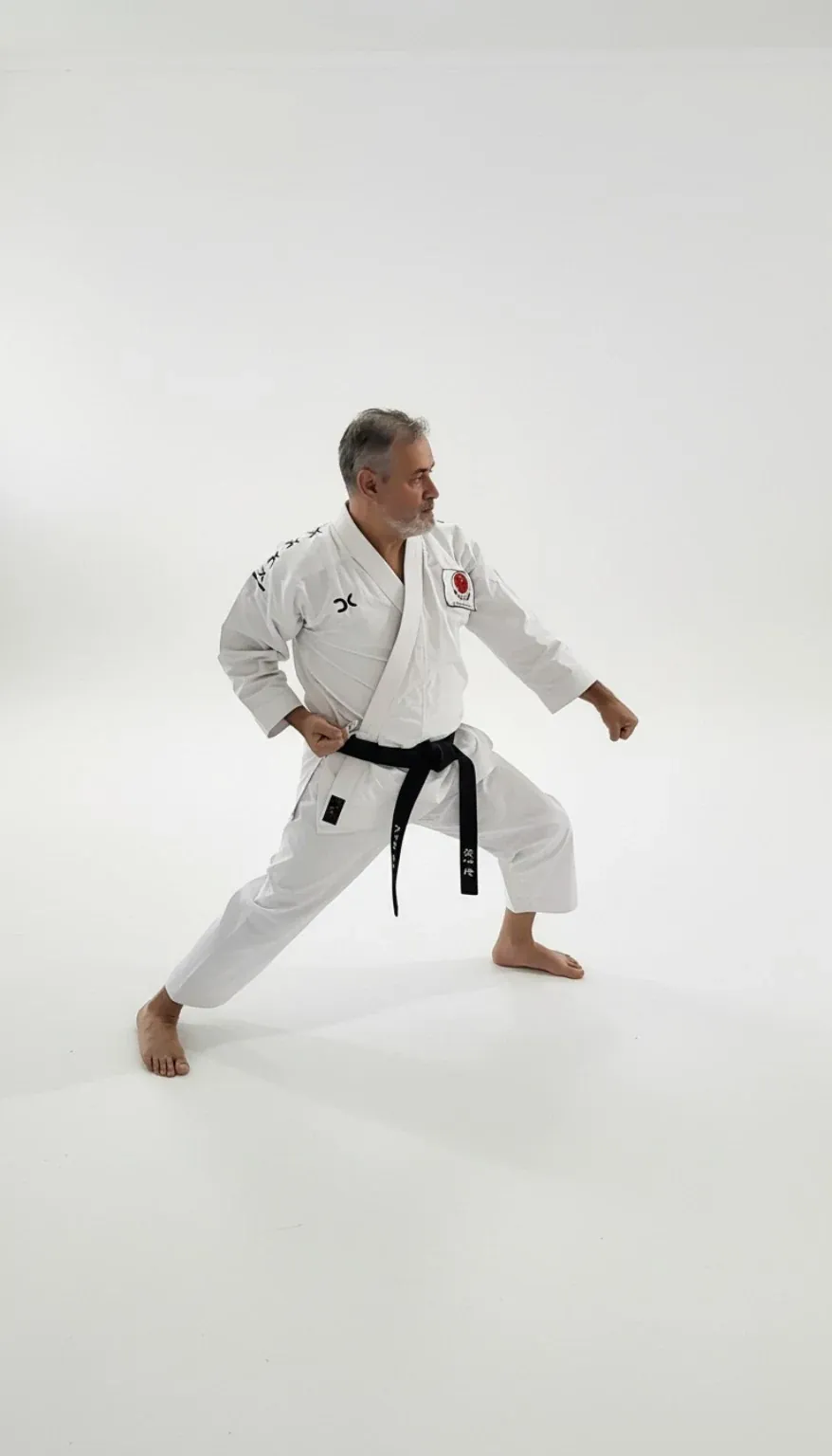Repetir, perceber e aperfeiçoar no dojo